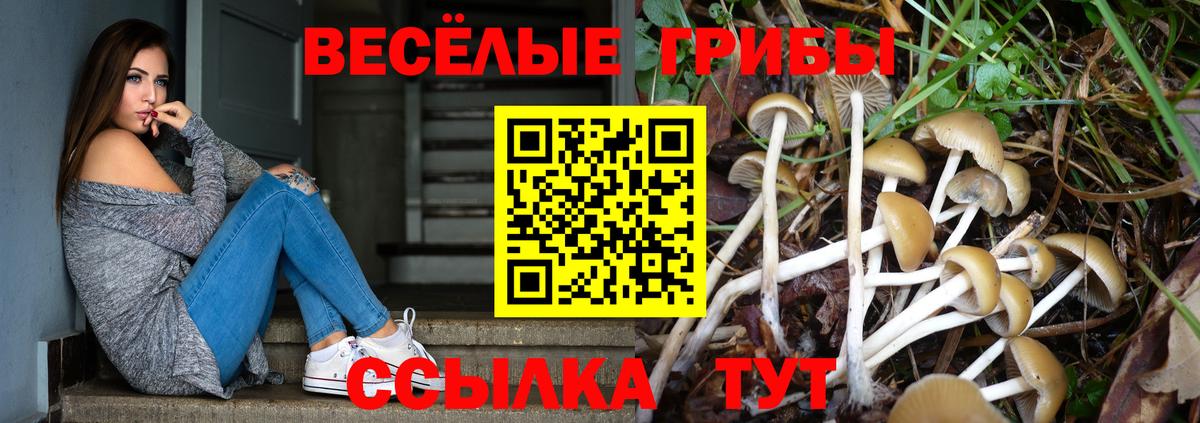 Курган  Галлюциногенные грибы MAGIC MUSHROOMS  Вход с VPN 