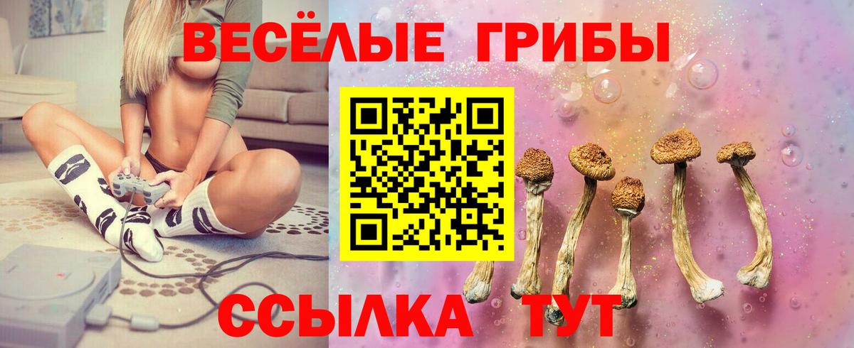 Галлюциногенные грибы ЛСД Курган